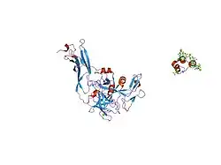 1p0s: Crystal Structure of Blood Coagulation Factor Xa in Complex with Ecotin M84R