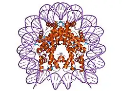 1p3a: Crystallographic Studies of Nucleosome Core Particles containing Histone 'Sin' Mutants
