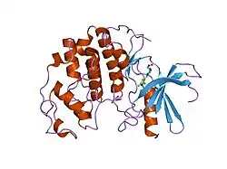 1pxk: HUMAN CYCLIN DEPENDENT KINASE 2 COMPLEXED WITH THE INHIBITOR N-[4-(2,4-Dimethyl-thiazol-5-yl)pyrimidin-2-yl]-N'-hydroxyiminoformamide