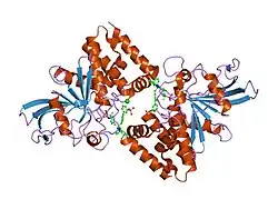 1q6p: THE STRUCTURE OF PHOSPHOTYROSINE PHOSPHATASE 1B IN COMPLEX WITH COMPOUND 6