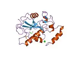1qb0: HUMAN CDC25B CATALYTIC DOMAIN
