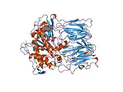 1qfm: PROLYL OLIGOPEPTIDASE FROM PORCINE MUSCLE