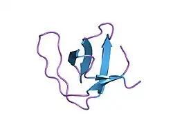 1qkx: ALPHA-SPECTRIN SRC HOMOLOGY 3 DOMAIN, N47A MUTANT IN THE DISTAL LOOP.