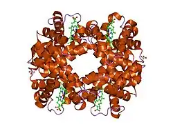 1r1y: Crystal structure of deoxy-human hemoglobin Bassett at 1.8 angstrom