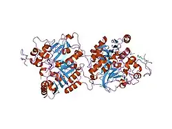 1rfi: Crystal structure of human Tyrosyl-DNA Phosphodiesterase complexed with vanadate, pentapeptide KLNYK, and tetranucleotide AGTC