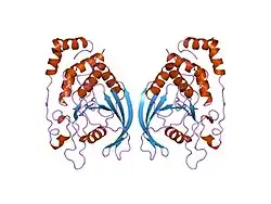 1rpm: HUMAN RECEPTOR PROTEIN TYROSINE PHOSPHATASE MU, DOMAIN 1