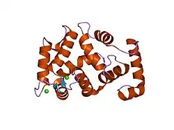 1s1e: Crystal Structure of Kv Channel-interacting protein 1 (KChIP-1)