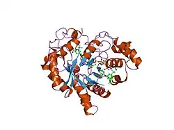 1s2c: Crystal structures of prostaglandin D2 11-ketoreductase in complex with the non-steroidal anti-inflammatory drugs flufenamic acid and indomethacin