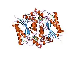 1sg0: Crystal structure analysis of QR2 in complex with resveratrol