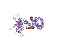 1t8d: Structure of the C-type lectin domain of CD23