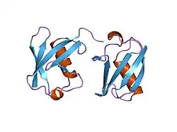1tbe: STRUCTURE OF TETRAUBIQUITIN SHOWS HOW MULTIUBIQUITIN CHAINS CAN BE FORMED