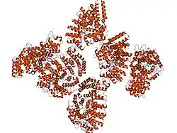 1tno: Rat Protein Geranylgeranyltransferase Type-I Complexed with a GGPP analog and a KKKSKTKCVIM Peptide Derived from K-Ras4B