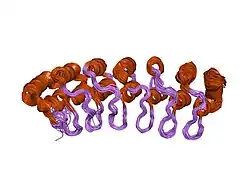 1tr4: Solution structure of human oncogenic protein gankyrin