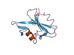 1tze: SIGNAL TRANSDUCTION ADAPTOR GROWTH FACTOR, GRB2 SH2 DOMAIN COMPLEXED WITH PHOSPHOTYROSYL HEPTAPEPTIDE LYS-PRO-PHE-PTYR-VAL-ASN-VAL-NH2 (KFPPYVNC-NH2)