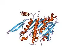 1v8j: The Crystal Structure of the Minimal Functional Domain of the Microtubule Destabilizer KIF2C Complexed with Mg-ADP