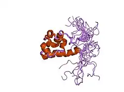 1wwv: Solution structure of the SAM domain of human connector enhancer of KSR-like protein CNK1