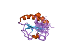 1x5c: The solution structure of the second thioredoxin-like domain of human Protein disulfide-isomerase