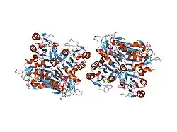 1xbt: Crystal Structure of Human Thymidine Kinase 1