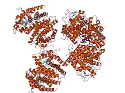 1xls: Crystal structure of the mouse CAR/RXR LBD heterodimer bound to TCPOBOP and 9cRA and a TIF2 peptide containing the third LXXLL motifs