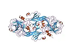 1xxf: Crystal Structure of the FXIa Catalytic Domain in Complex with Ecotin Mutant (EcotinP)