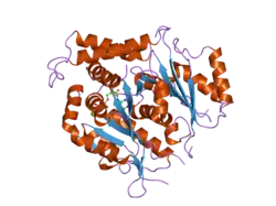 1z5v: Crystal structure of human gamma-tubulin bound to GTPgammaS
