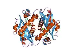 1zn7: Human Adenine Phosphoribosyltransferase Complexed with PRPP, ADE and R5P