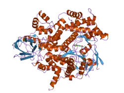 2a4z: Crystal Structure of human PI3Kgamma complexed with AS604850