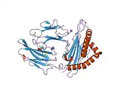 2a83: Crystal structure of hla-b*2705 complexed with the glucagon receptor (gr) peptide (residues 412-420)
