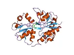2aix: X-ray structure of the GLUR2 ligand-binding core (S1S2J) in complex with (s)-thio-atpa at 2.2 a resolution.