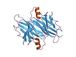 2b15: The crystal structure of 2,4-dinitrophenol in complex with human transthyretin