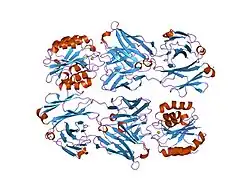 2b2x: VLA1 RdeltaH I-domain complexed with a quadruple mutant of the AQC2 Fab