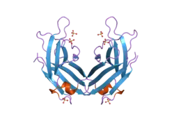 2b3r: Crystal structure of the C2 domain of class II phosphatidylinositide 3-kinase C2