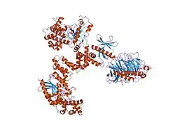 2bcj: Crystal Structure of G Protein-Coupled Receptor Kinase 2 in Complex with Galpha-q and Gbetagamma Subunits