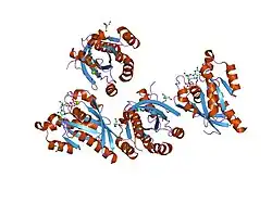 2bme: HIGH RESOLUTION STRUCTURE OF GPPNHP-BOUND HUMAN RAB4A
