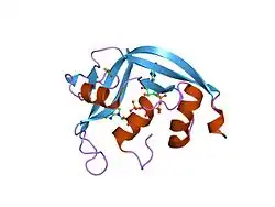 2bzz: CRYSTAL STRUCTURES OF EOSINOPHIL-DERIVED NEUROTOXIN IN COMPLEX WITH THE INHIBITORS 5'-ATP, AP3A, AP4A AND AP5A
