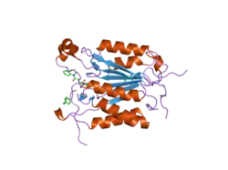 2c2z: CRYSTAL STRUCTURE OF CASPASE-8 IN COMPLEX WITH AZA-PEPTIDE MICHAEL ACCEPTOR INHIBITOR