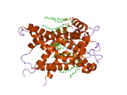 2c3e: THE BOVINE MITOCHONDRIAL ADP-ATP CARRIER