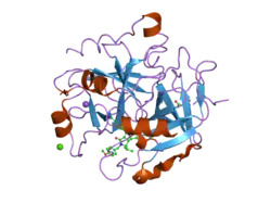 2cf9: COMPLEX OF RECOMBINANT HUMAN THROMBIN WITH A INHIBITOR