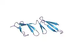 2cg7: SECOND AND THIRD FIBRONECTIN TYPE I MODULE PAIR (CRYSTAL FORM II).