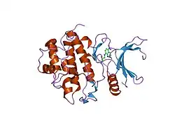 2cgv: IDENTIFICATION OF CHEMICALLY DIVERSE CHK1 INHIBITORS BY RECEPTOR-BASED VIRTUAL SCREENING