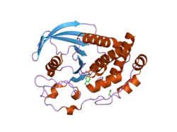 2cjz: CRYSTAL STRUCTURE OF THE C472S MUTANT OF HUMAN PROTEIN TYROSINE PHOSPHATASE PTPN5 (STEP, STRIATUM ENRICHED PHOSPHATASE) IN COMPLEX WITH PHOSPHOTYROSINE