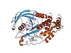 2cmc: STRUCTURAL BASIS FOR INHIBITION OF PROTEIN TYROSINE PHOSPHATASE 1B BY ISOTHIAZOLIDINONE HETEROCYCLIC PHOSPHONATE MIMETICS