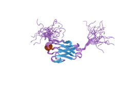 2cry: Solution structure of the fifth ig-like domain of human kin of IRRE like 3