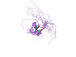 2cs2: Solution structure of the second Zn-finger domain of poly(ADP-ribose) polymerase-1