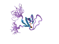 2ct3: Solution Structure of the SH3 domain of the Vinexin protein