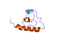 2d46: Solution Structure of the Human Beta4a-A Domain