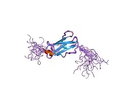 2d7p: Solution structure of the 22nd Filamin domain from human Filamin C