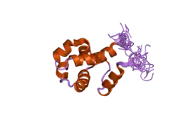 2dkx: Solution structure of the SAM_PNT-domain of ETS transcription factor PDEF (Prostate ets)