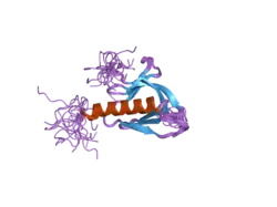2dn6: Solution structure of the PH domain of KIAA0640 protein from human