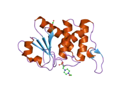2esb: Crystal structure of human DUSP18